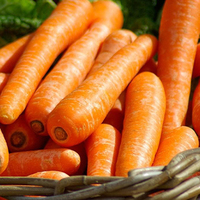 Universal Product Style