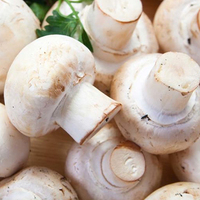 Universal Product Style