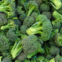 Universal Product Style