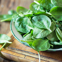 Universal Product Style