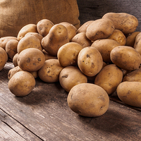 Universal Product Style